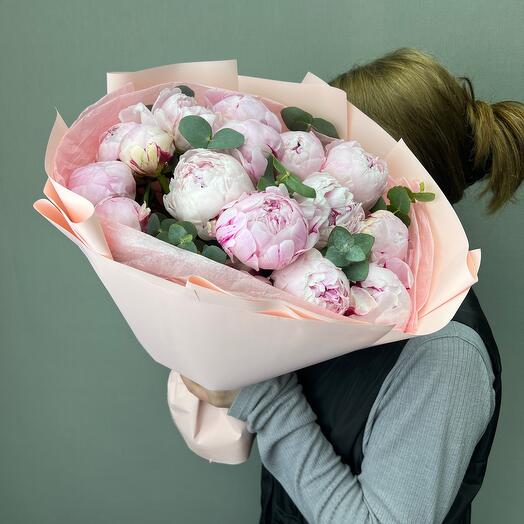 Пионы Сара Бернард 15 штук
