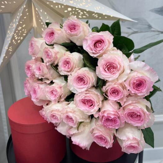 Розовые розы 25