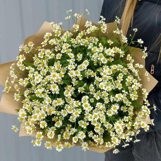 Букет кустовых ромашек