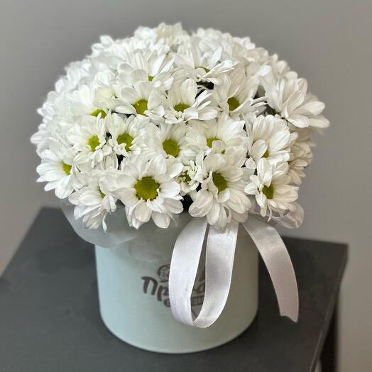 Композиция с ромашками