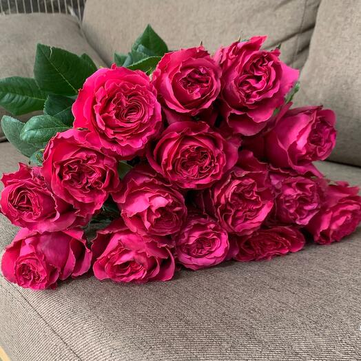Розы 15
