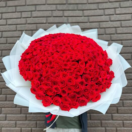 201 красная Роза 🌹