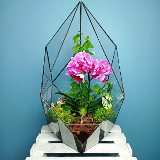 Florarium with orchid in crystal