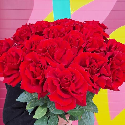 Rose Ecuador 1 meter)))