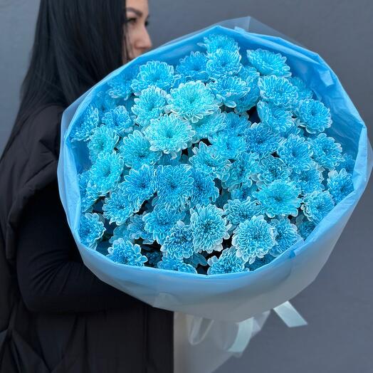 Bouquet of chrysanthemums, 15 pcs blue