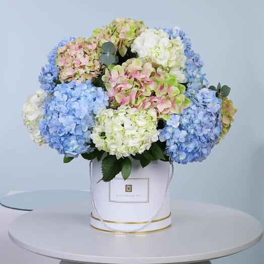 Mix Hydrangea Box