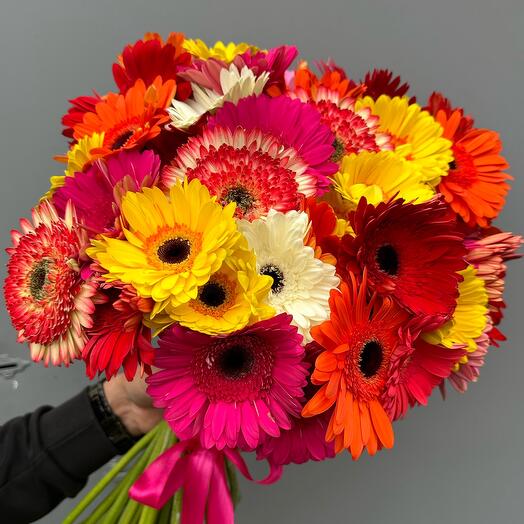 Gerbera Mix