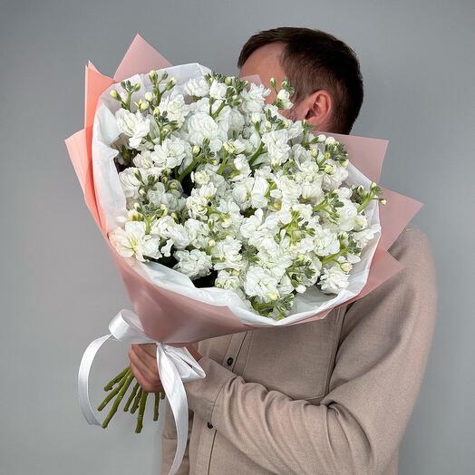 Monobook of 9 bushy white mattioles