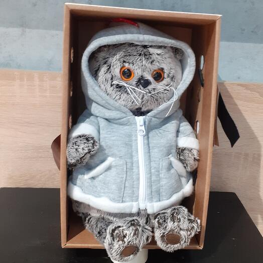Кот Басик в толстовке
