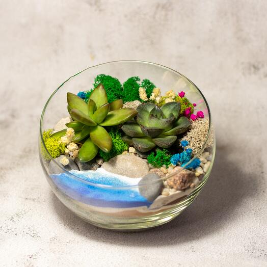 Флорариум S Полусфера