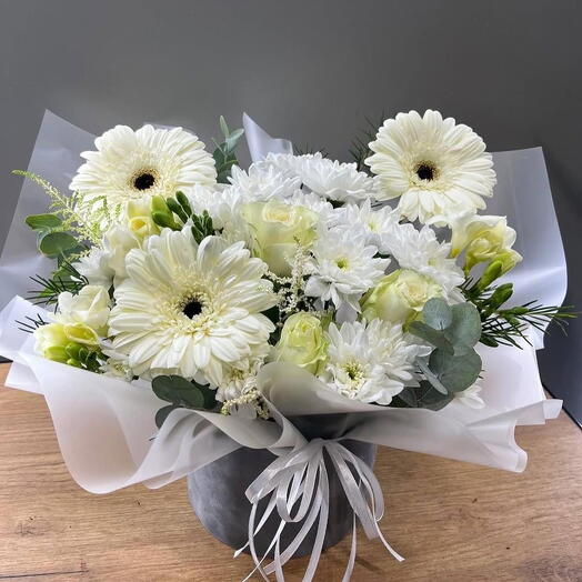 GARBARA CHRYSANTHIUM   ROSES IN A POT