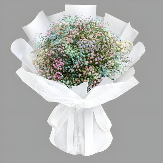 Gypsophila 002