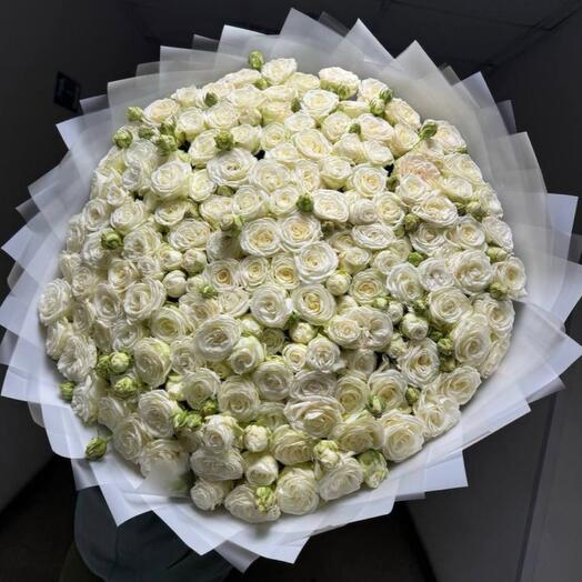 Букет из белой кустовой розы пионовидной