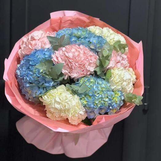 Гортензия 9