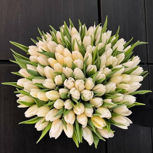 Белоснежные тюльпаны 101