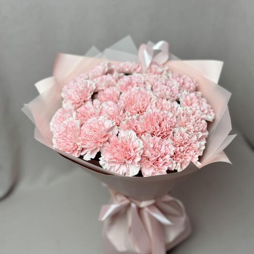 25 розовых диантусов 🌸