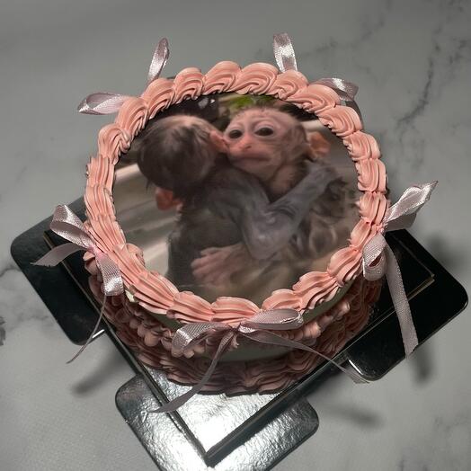 Бенто-торт мем с картинкой на праздник на день рождения