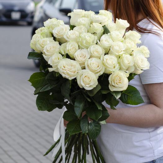 33 Голландских роз