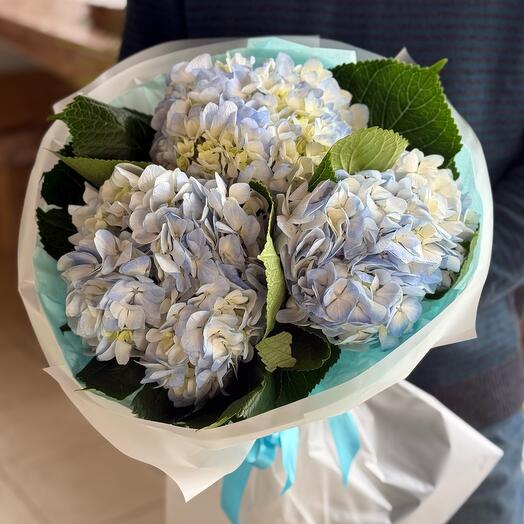Bouquet of blue hydrangeas