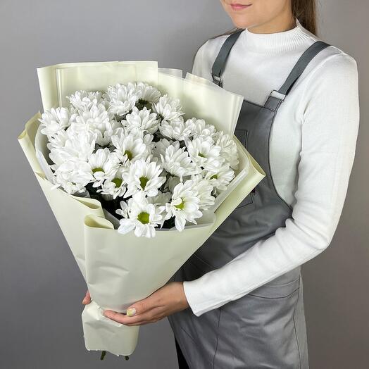Белые хризантемы ромашки