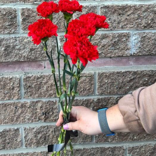 6 Красных Гвоздик (траур)