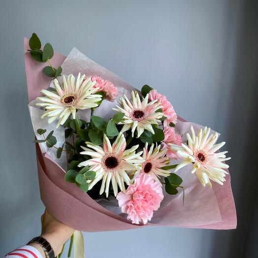 Gerbera