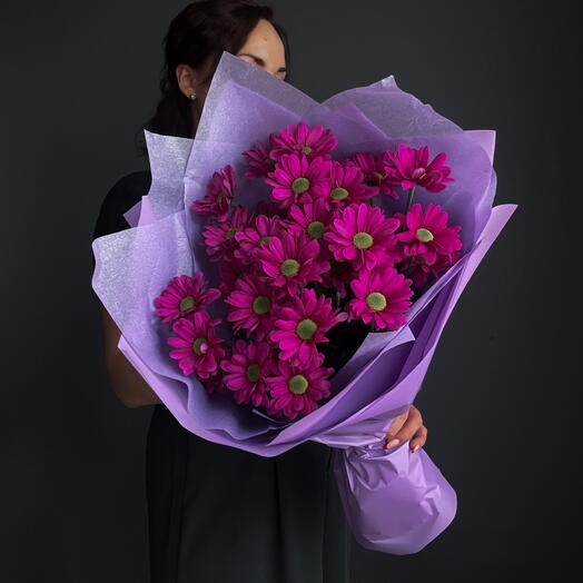 MD 2 Purple Mums