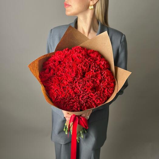 Red carnations 25 pieces