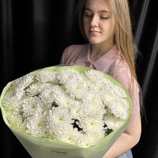 Белые хризантемы кустовые