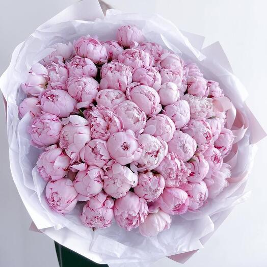 51 пион нежно розвый