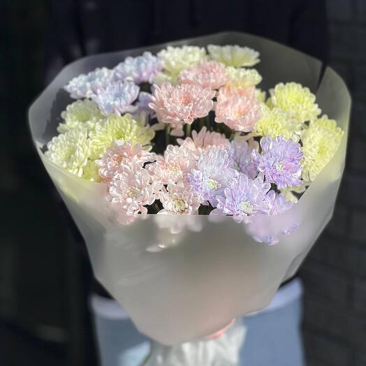 Микс из 7 кустовых цветных хризантем