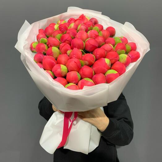 Корраловые пионы 101 штука Голландия (коралл шарм)