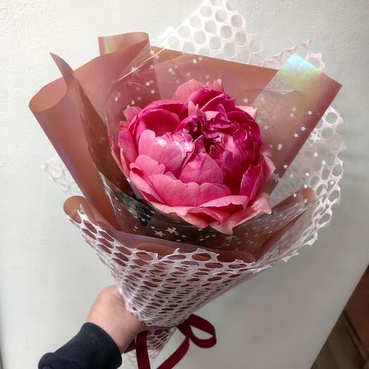Одинокий пион