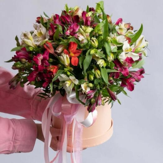 Альстромерия МИКС в коробке (17шт)