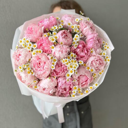 Букет с пионами Сара Бернар и кустовой ромашкой в стильной упаковке