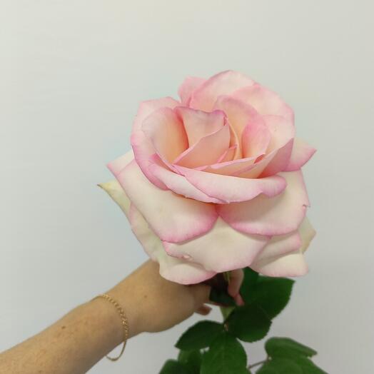 ФранкоBaiser