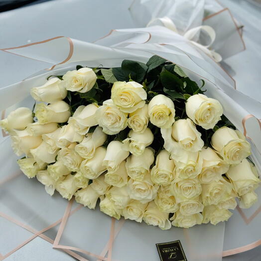 50 white 🤍 roses