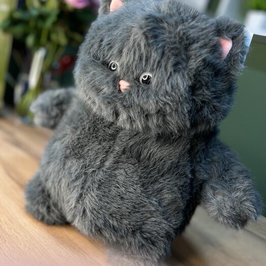 Мягкий кот