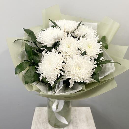 Single chrysanthemums