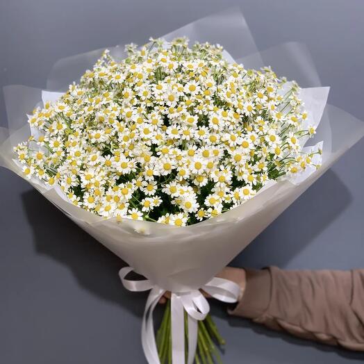 Букет из 35 ромашек