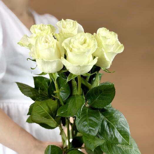 Белая роза Мондиаль Mondial 5 шт