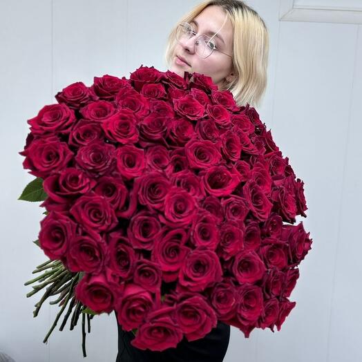 Классический бордо