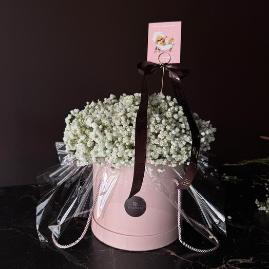 Облако гипсофилы в коробке