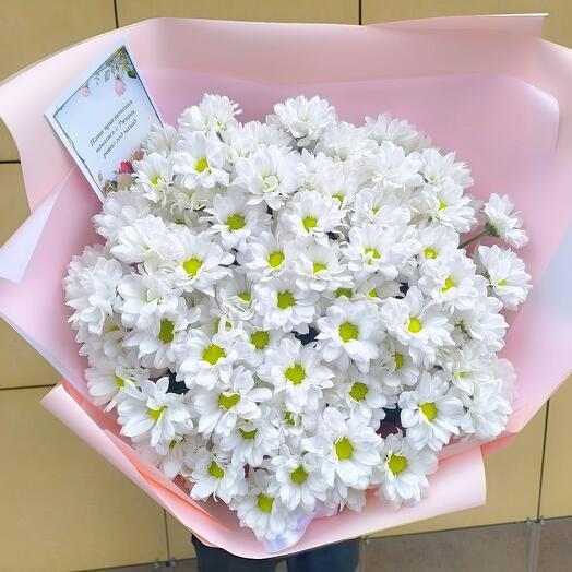 Daisies