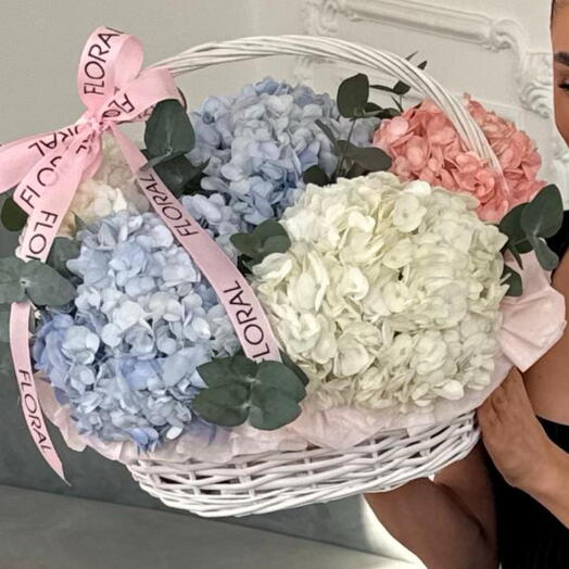 Корзина CLOUD S