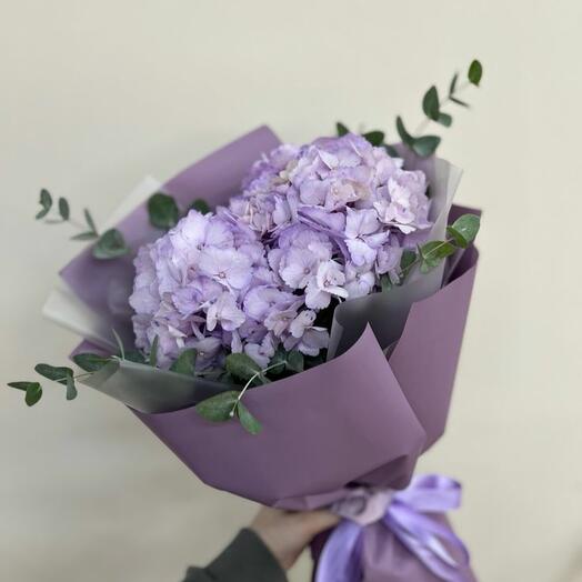Застывшая галактика