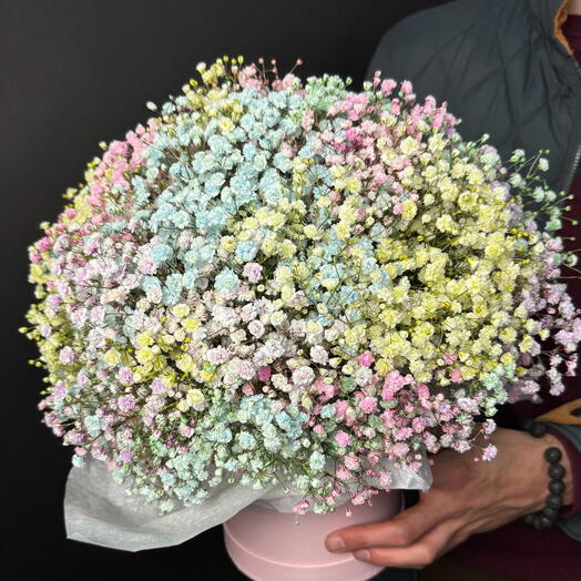 Magic Box z Gipsowki