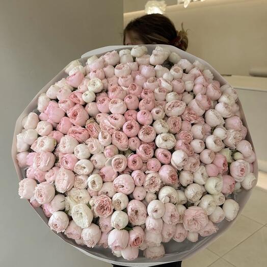Розы