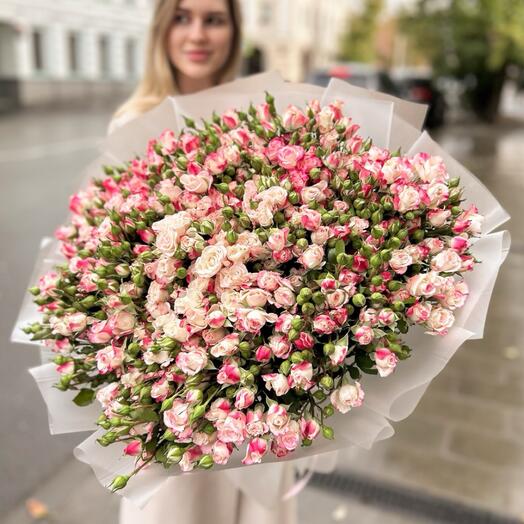 51 кустовая роза в упаковке