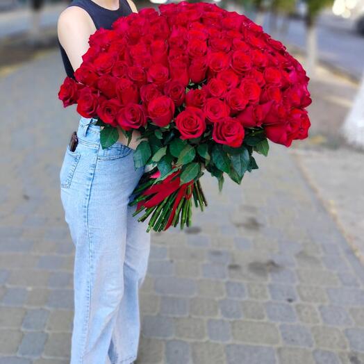 Роза голландская